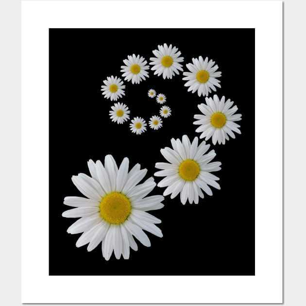 daisy flowers, blooming daisies, bloom, flowers Wall Art by rh_naturestyles